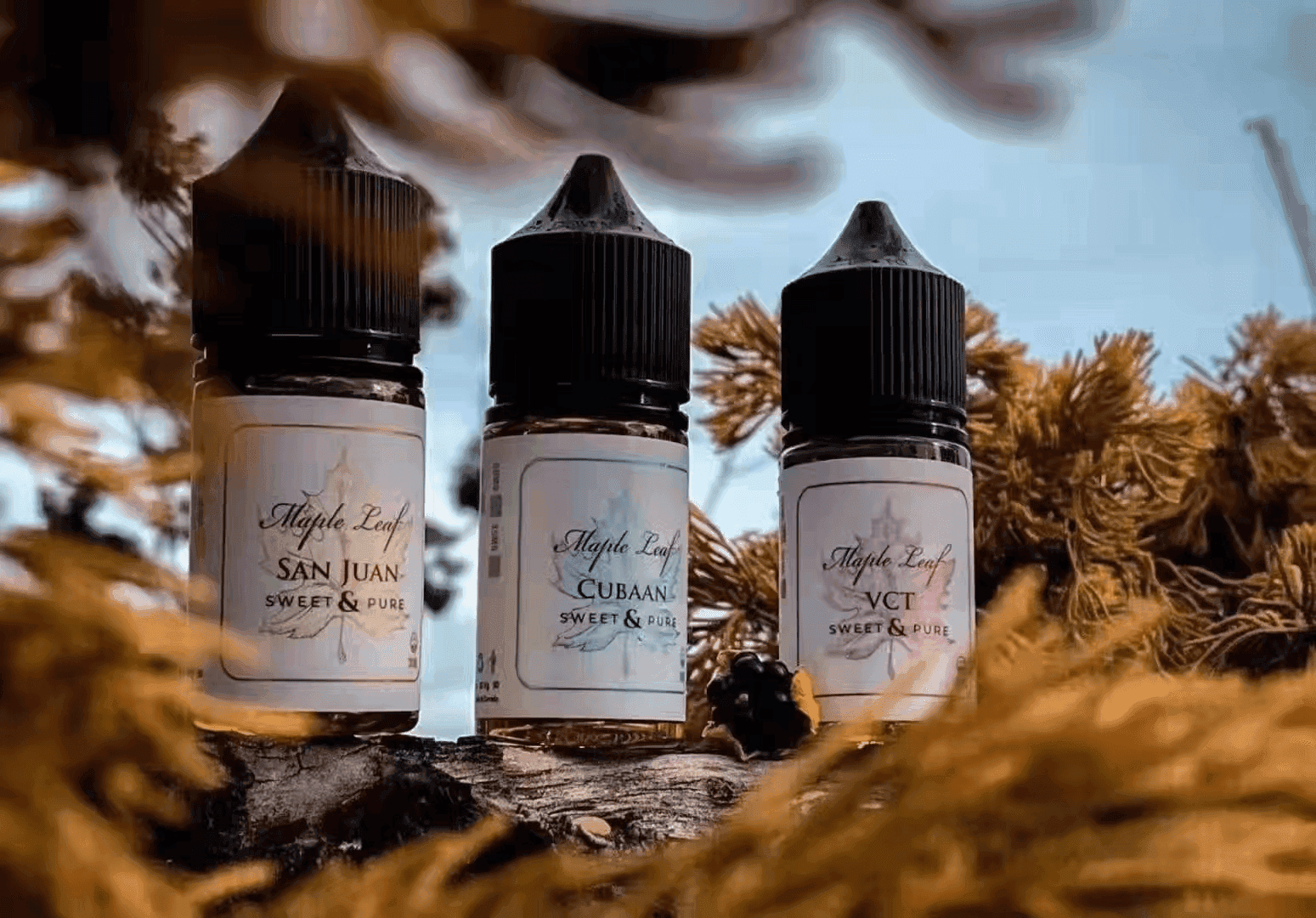 Maple Leaf 楓葉電子菸小煙油 30ML 加拿大原裝進口:圖片 3